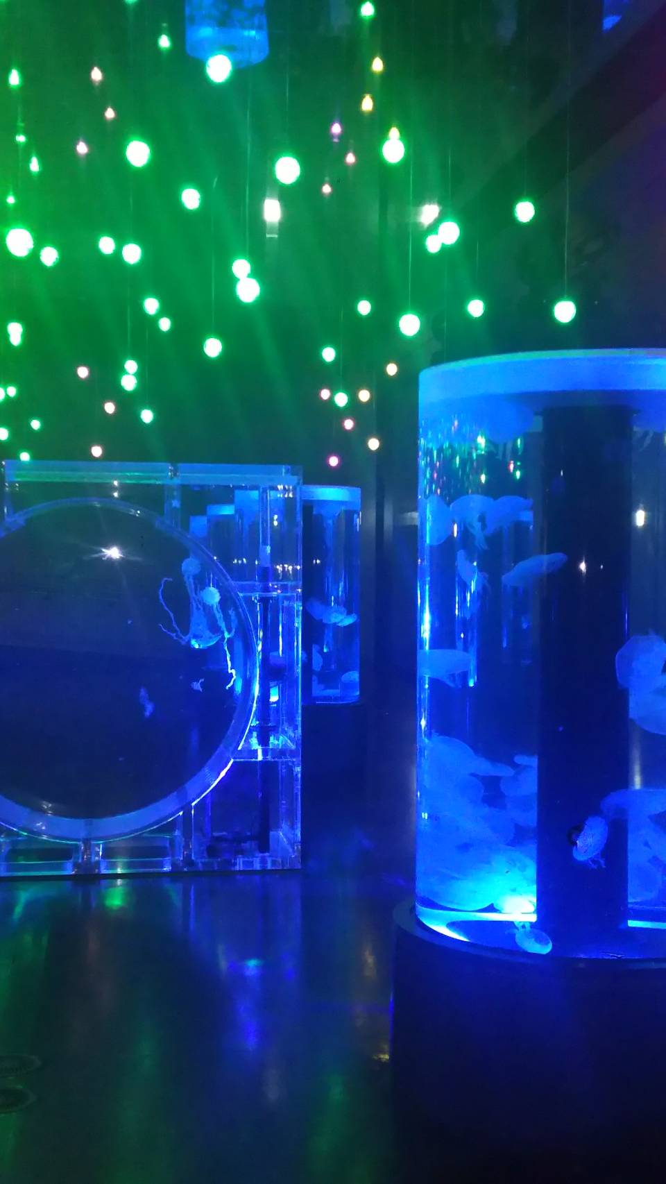 人工クラゲインテリアアクアリウムをホワイトデーのプレゼントに貰った! 続 恋人と75回目のデート 彼と長く